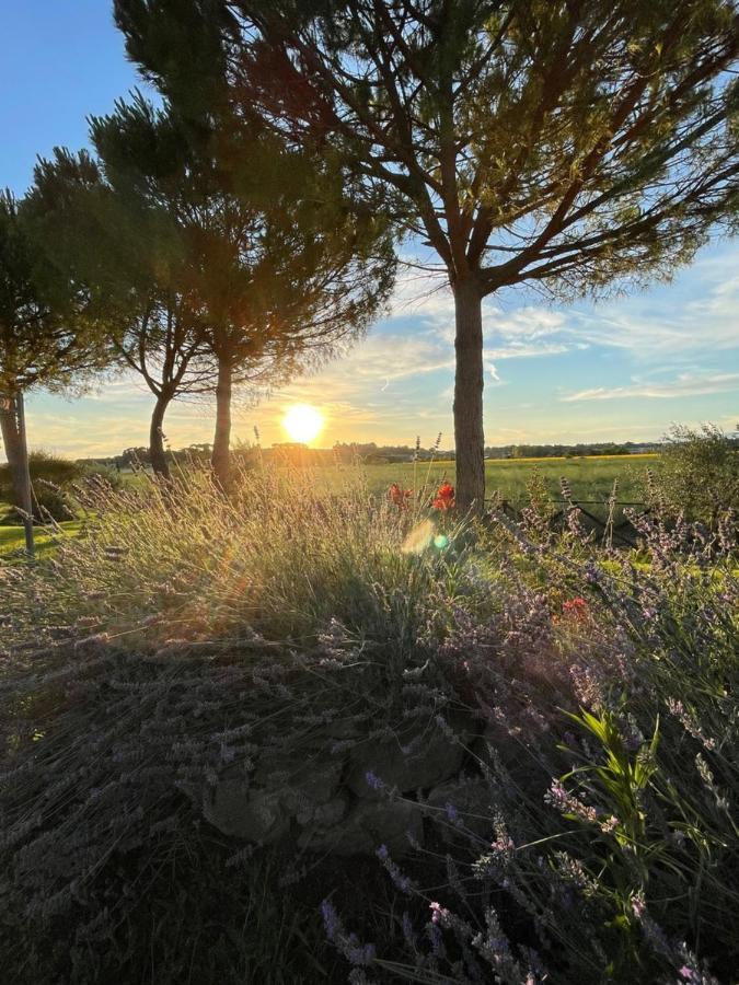 Agriturismo La Colmata Βίλα Cesa  Εξωτερικό φωτογραφία