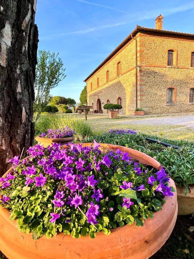 Agriturismo La Colmata Βίλα Cesa  Εξωτερικό φωτογραφία