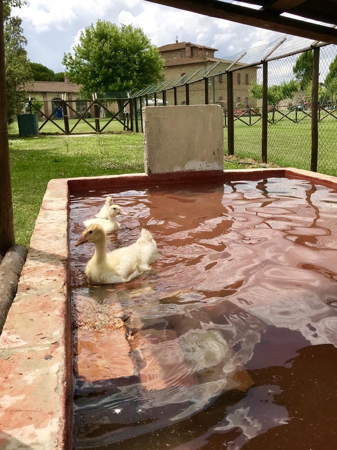 Agriturismo La Colmata Βίλα Cesa  Εξωτερικό φωτογραφία